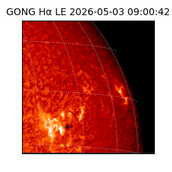 gong - 2026-05-03T09:00:42