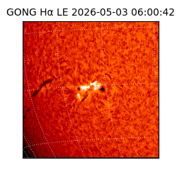 gong - 2026-05-03T06:00:42