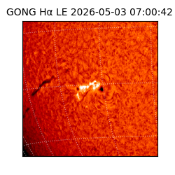 gong - 2026-05-03T07:00:42