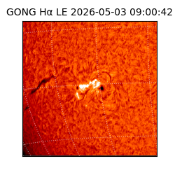 gong - 2026-05-03T09:00:42