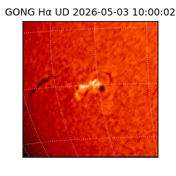 gong - 2026-05-03T10:00:02