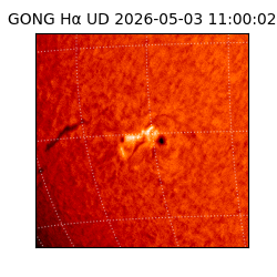 gong - 2026-05-03T11:00:02