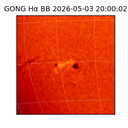 gong - 2026-05-03T20:00:02