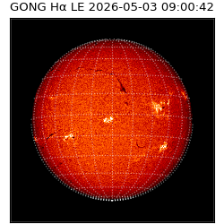 gong - 2026-05-03T09:00:42