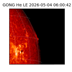 gong - 2026-05-04T06:00:42