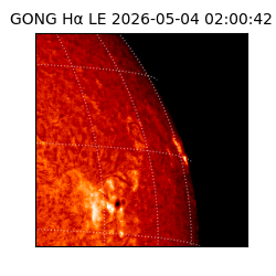 gong - 2026-05-04T02:00:42