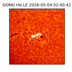 gong - 2026-05-04T02:00:42