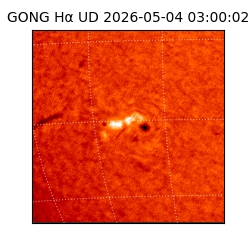 gong - 2026-05-04T03:00:02