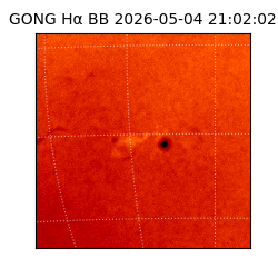 gong - 2026-05-04T21:02:02