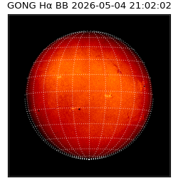 gong - 2026-05-04T21:02:02