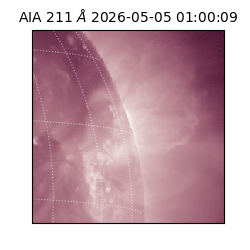 saia - 2026-05-05T01:00:09.623000
