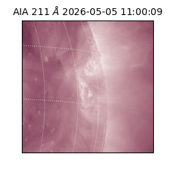 saia - 2026-05-05T11:00:09.632000