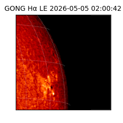 gong - 2026-05-05T02:00:42
