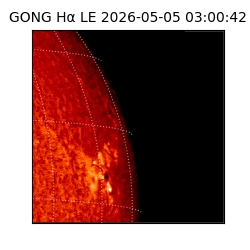 gong - 2026-05-05T03:00:42