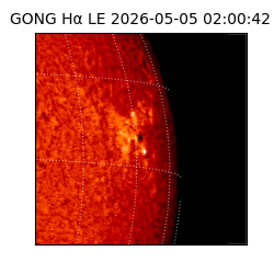 gong - 2026-05-05T02:00:42