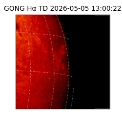 gong - 2026-05-05T13:00:22
