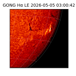 gong - 2026-05-05T03:00:42
