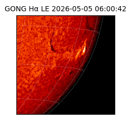 gong - 2026-05-05T06:00:42