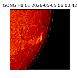 gong - 2026-05-05T06:00:42
