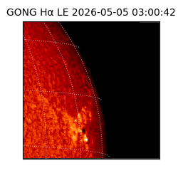 gong - 2026-05-05T03:00:42