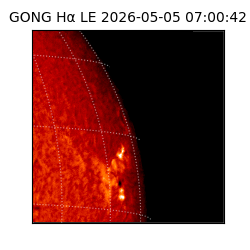 gong - 2026-05-05T07:00:42