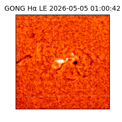 gong - 2026-05-05T01:00:42