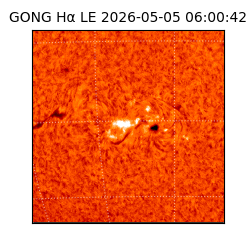 gong - 2026-05-05T06:00:42