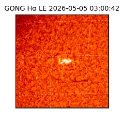 gong - 2026-05-05T03:00:42