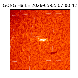 gong - 2026-05-05T07:00:42