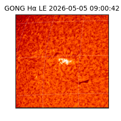 gong - 2026-05-05T09:00:42