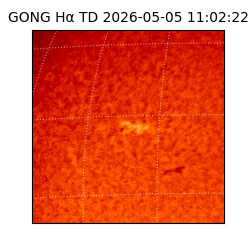 gong - 2026-05-05T11:02:22