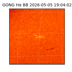 gong - 2026-05-05T19:04:02