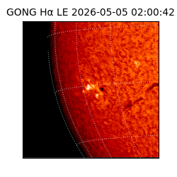 gong - 2026-05-05T02:00:42