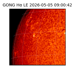 gong - 2026-05-05T09:00:42