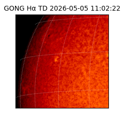 gong - 2026-05-05T11:02:22
