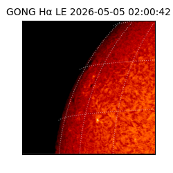 gong - 2026-05-05T02:00:42