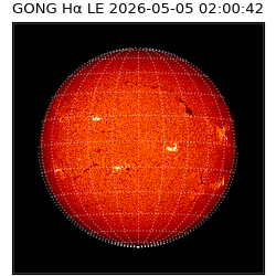 gong - 2026-05-05T02:00:42