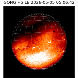 gong - 2026-05-05T05:06:42