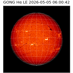 gong - 2026-05-05T06:00:42