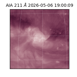 saia - 2026-05-06T19:00:09.624000
