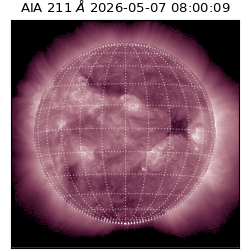 saia - 2026-05-07T08:00:09.622000