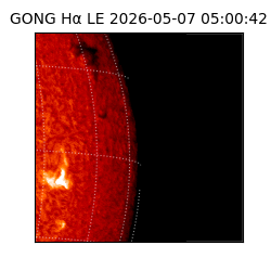 gong - 2026-05-07T05:00:42