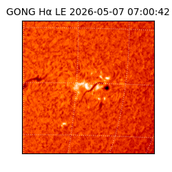gong - 2026-05-07T07:00:42