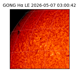 gong - 2026-05-07T03:00:42