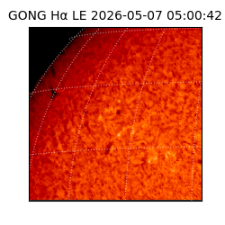 gong - 2026-05-07T05:00:42