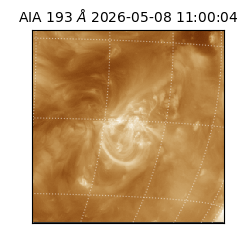 saia - 2026-05-08T11:00:04.842000