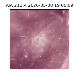 saia - 2026-05-08T19:00:09.620000