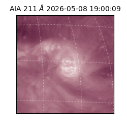 saia - 2026-05-08T19:00:09.620000