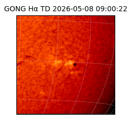 gong - 2026-05-08T09:00:22