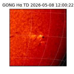 gong - 2026-05-08T12:00:22